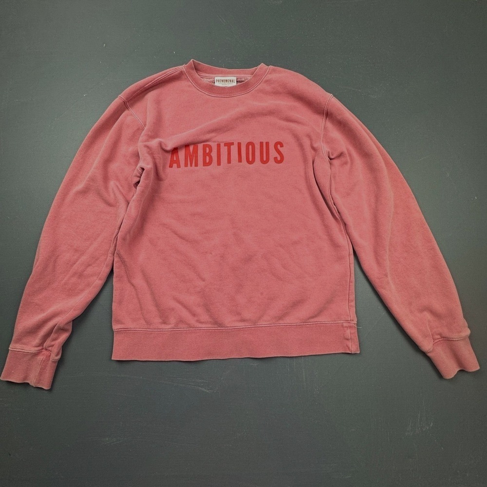 Phenomenal Ambitious Women's S Pink Graphic Crewneck Sweatshirt Long Sleeve Top